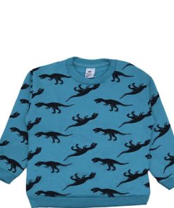 Dinosaur Print Terry Sweatshirt - Berylline