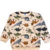Wild Dinoes World Light Fleece Tracksuit - Skin